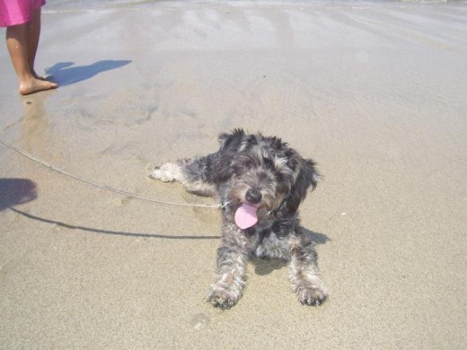 primer dia de playa