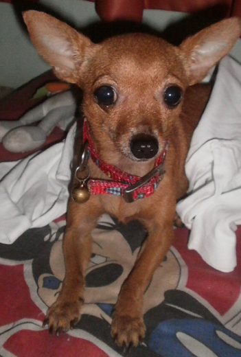 Princesa en su cuarto