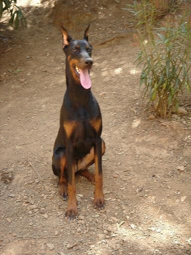 A los 9 meses A los 9 meses
