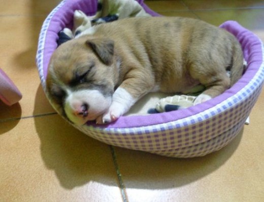 Mi peque durmiendo y recien llegada a casa.