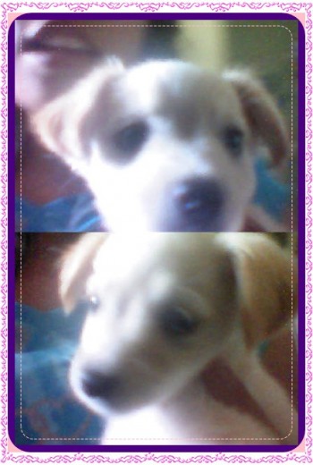 moli <3 moli <3