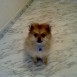 Jimmy