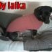 Laika yToby