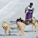 Cto España Trineos Nieve 2011