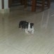 Como va creciendo el amigo Floid