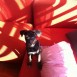 lola