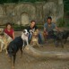 UNA TARDE DE VERANO DEL 2009 EN COLLSEROLA CON LOS BITXUS...