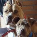 Kina y Aker