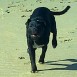 Su primer día en la playa :)