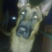 uron