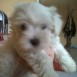 dukeee<3