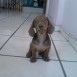 MI BEBE SPIKEY