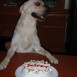 Beiker Cumpleaños 2