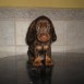 Teckels Cachorros (color chocolate)