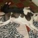 Suka y Keiko