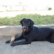 Luna, un día en el parque