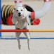 Debut de Kira en competición de agility