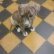 keiko con dos y tres meses de vida