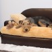 SOFAS Y SILLONES PARA PERROS