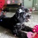 Mi BeBe