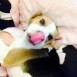 Yeiko