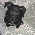 Niky