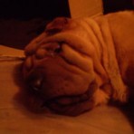 Otto