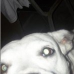 Blanca 