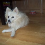 Koko