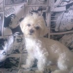 Bobby