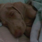 HANNA