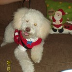 Principe