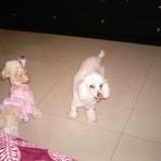 Pricila y candy