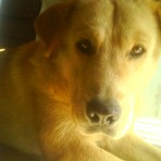 Emiliano