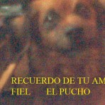 PUCHO