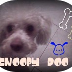 Snoopy Doo