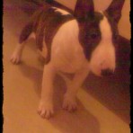 Joen