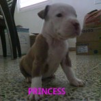 Princess