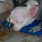Lucas