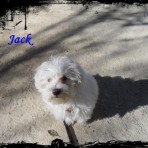 Jack