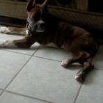 Jack