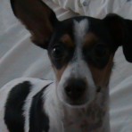 Chica