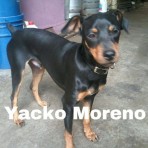 Yacko moreno