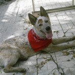 Atzin