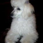 Mimi