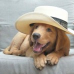 Capitan