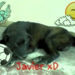 Javier