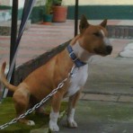 Murdock