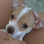Lua