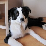 Athos